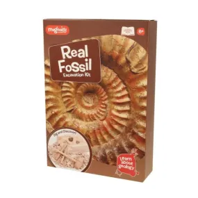 Fossil Excavation Dig Kit