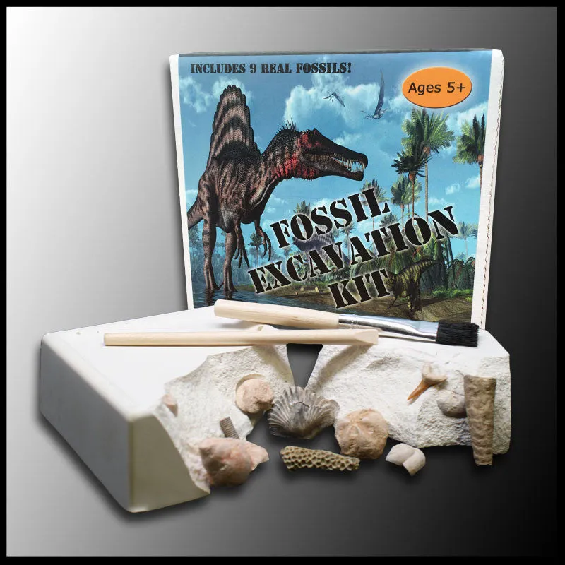 Fossil Excavation Kit