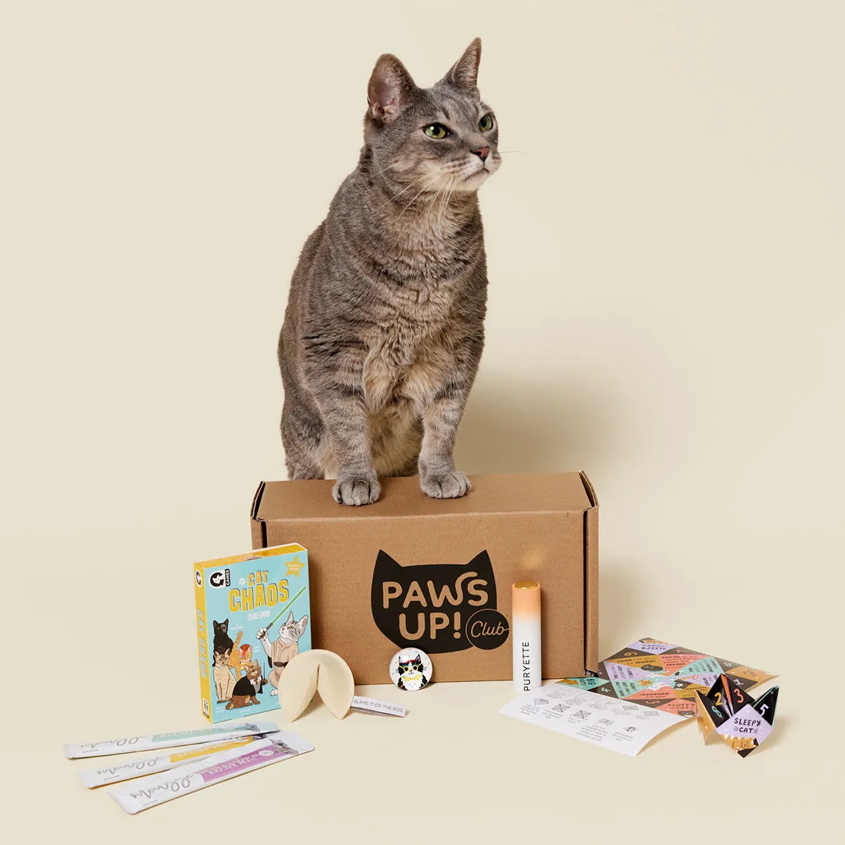 Paws Up Club Box - The Good Fortune Curation